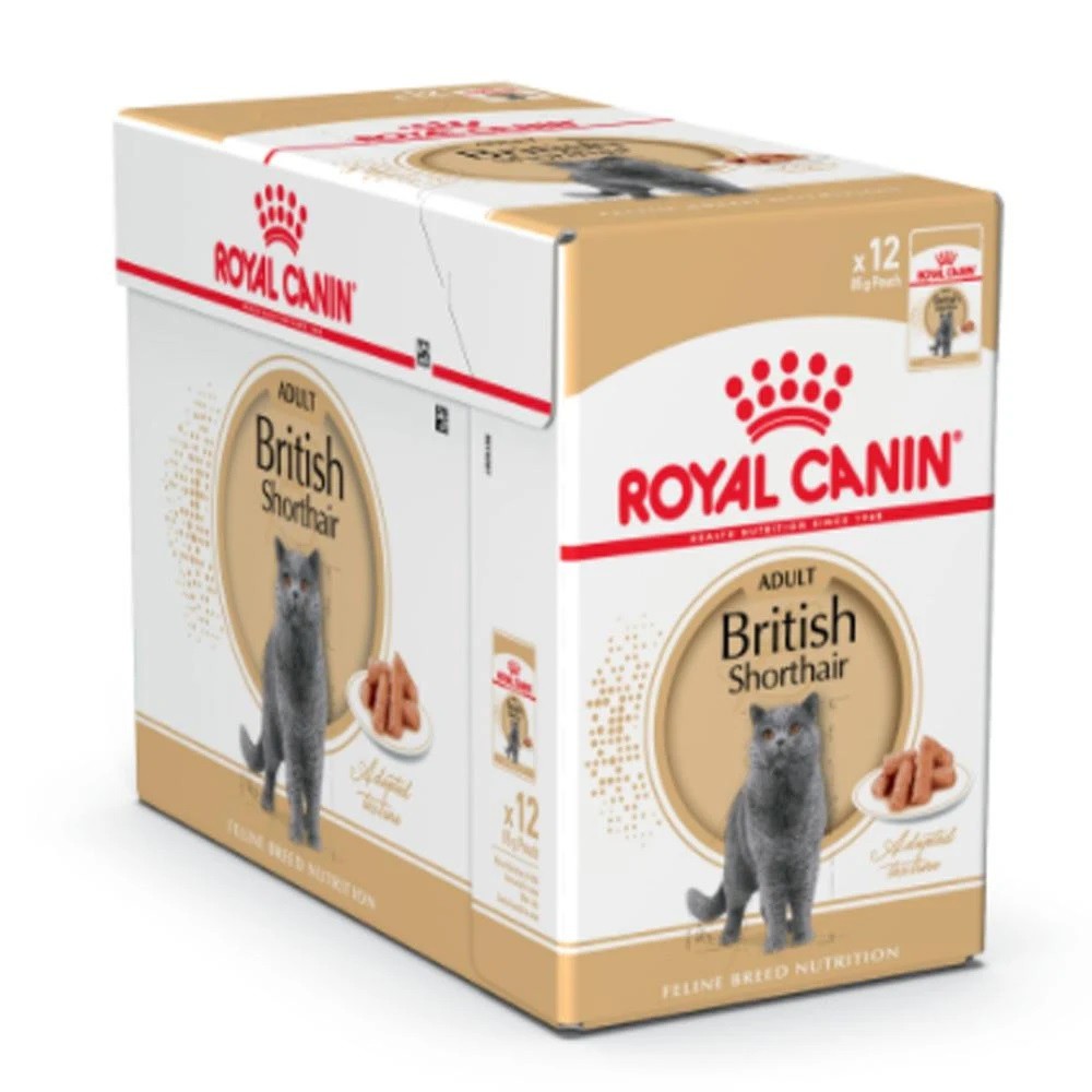 Pate Cho Mèo Anh Lông Ngắn Trưởng Thành Royal Canin British Shorthair Adult