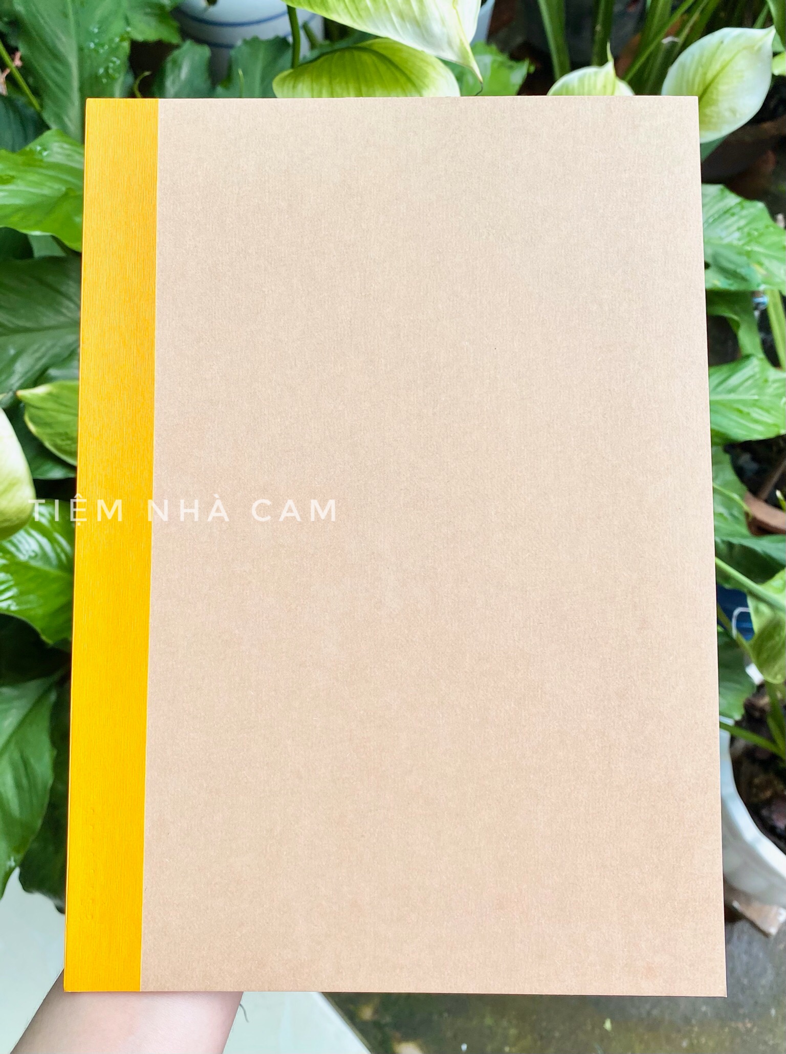 SET SỔ 5 CUỐN B5 30TỜ (60TRANG) MUJI