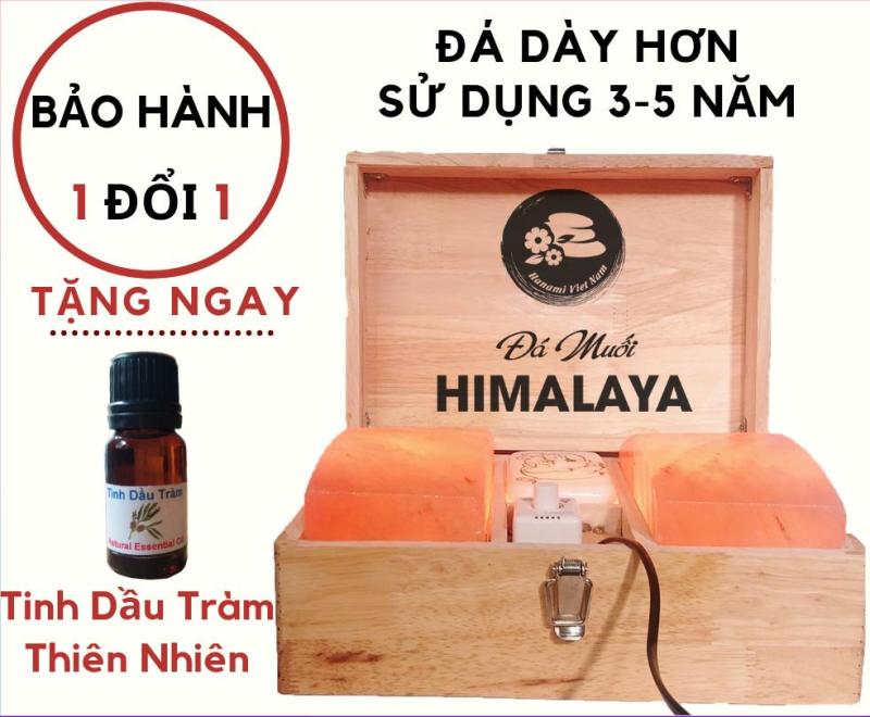 Hộp Đá Muối Himalaya 3 Ngăn Tiện Dụng - Tặng Chai Tinh Dầu Tràm Thiên Nhiên