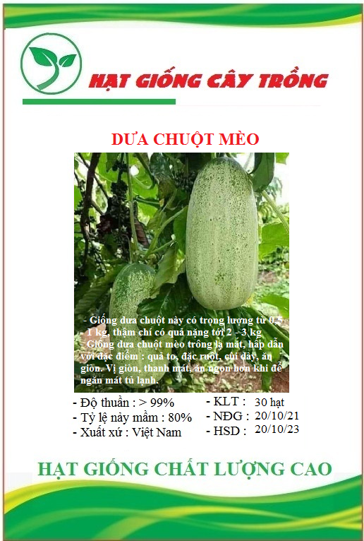 Hạt giống dưa chuột mèo - Gói 50 hạt
