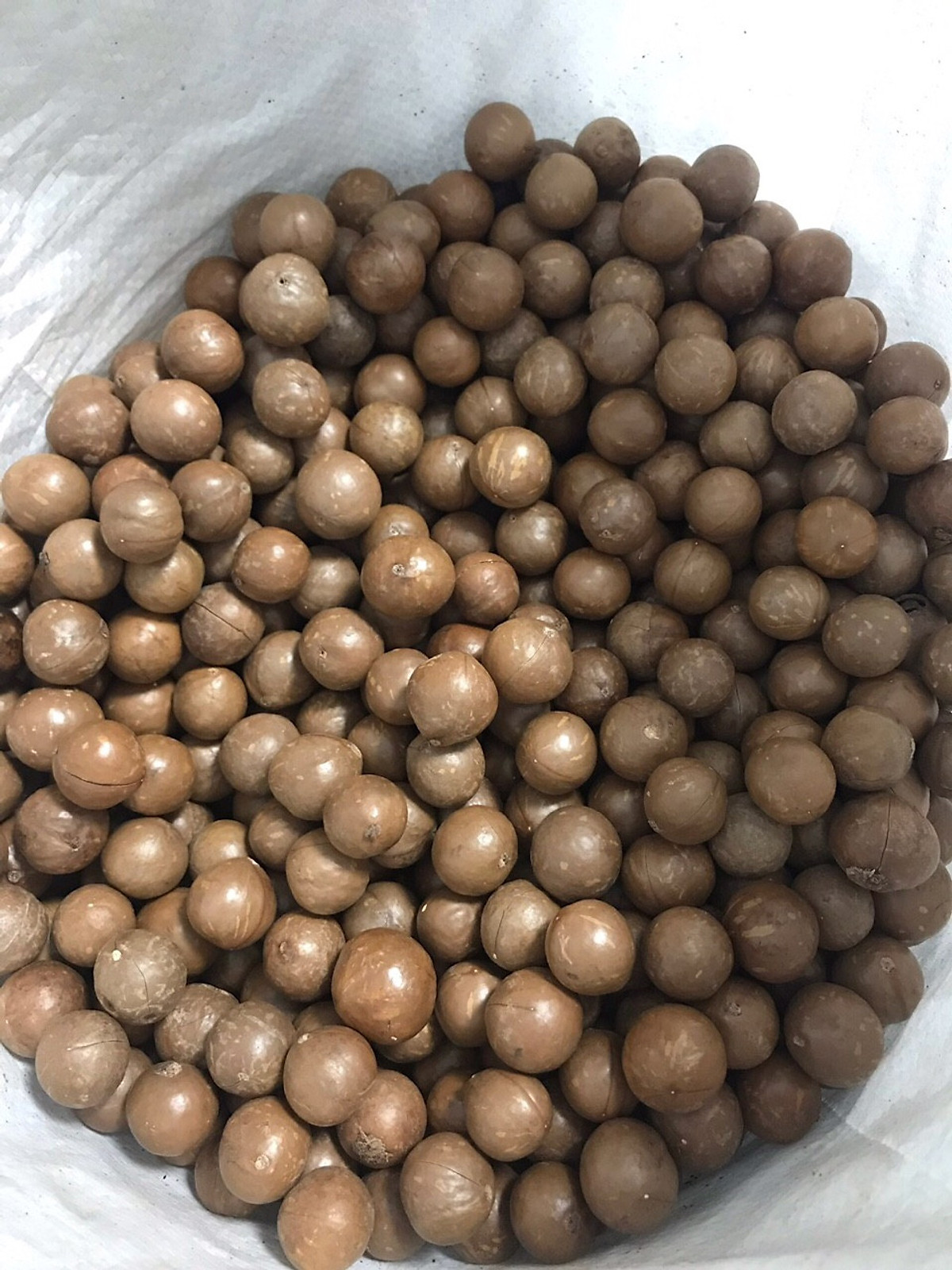 [HCM]Hạt Macca Úc Thương hiệu Mourad 500g