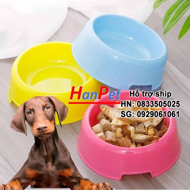 Bát ăn nhựa đơn cho chó mèo nhỏ- bát ăn cho chó mèo