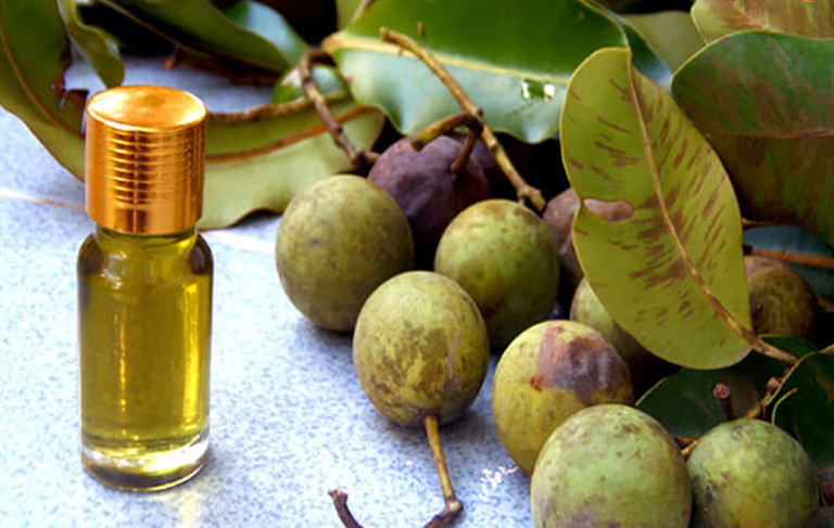 Dầu Mù U ép lạnh Nguyên Chất 100ml