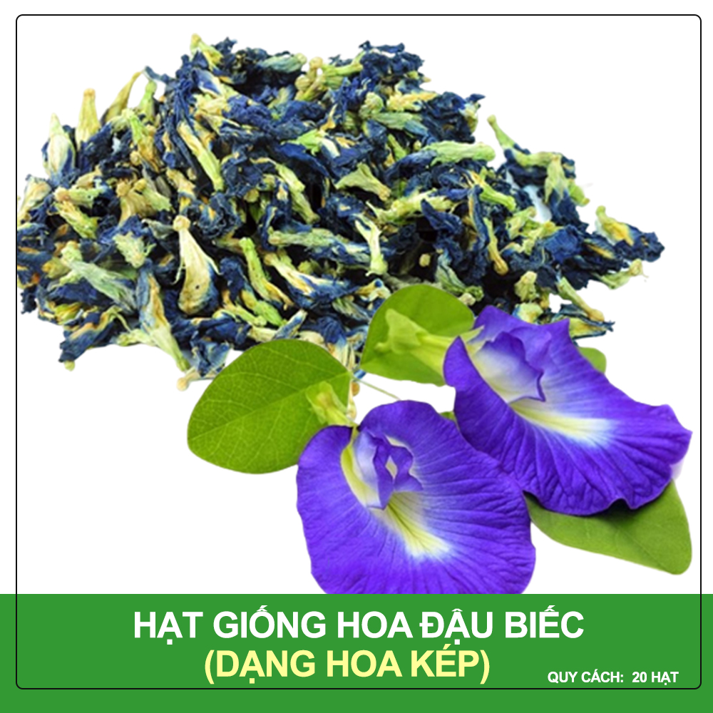 Hạt Giống Hoa Đậu Biếc (Hoa Kép), Nảy Mầm Cao, Ra Hoa Nhiều, Dễ Trồng Gói 20 Hạt