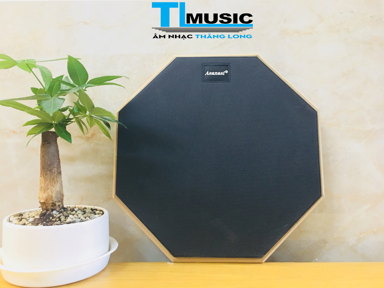 Mặt PAD Tập Trống 12inch ( Miếng Đệm Tập Trống) Asanasi PAD12 (PAD 12)
