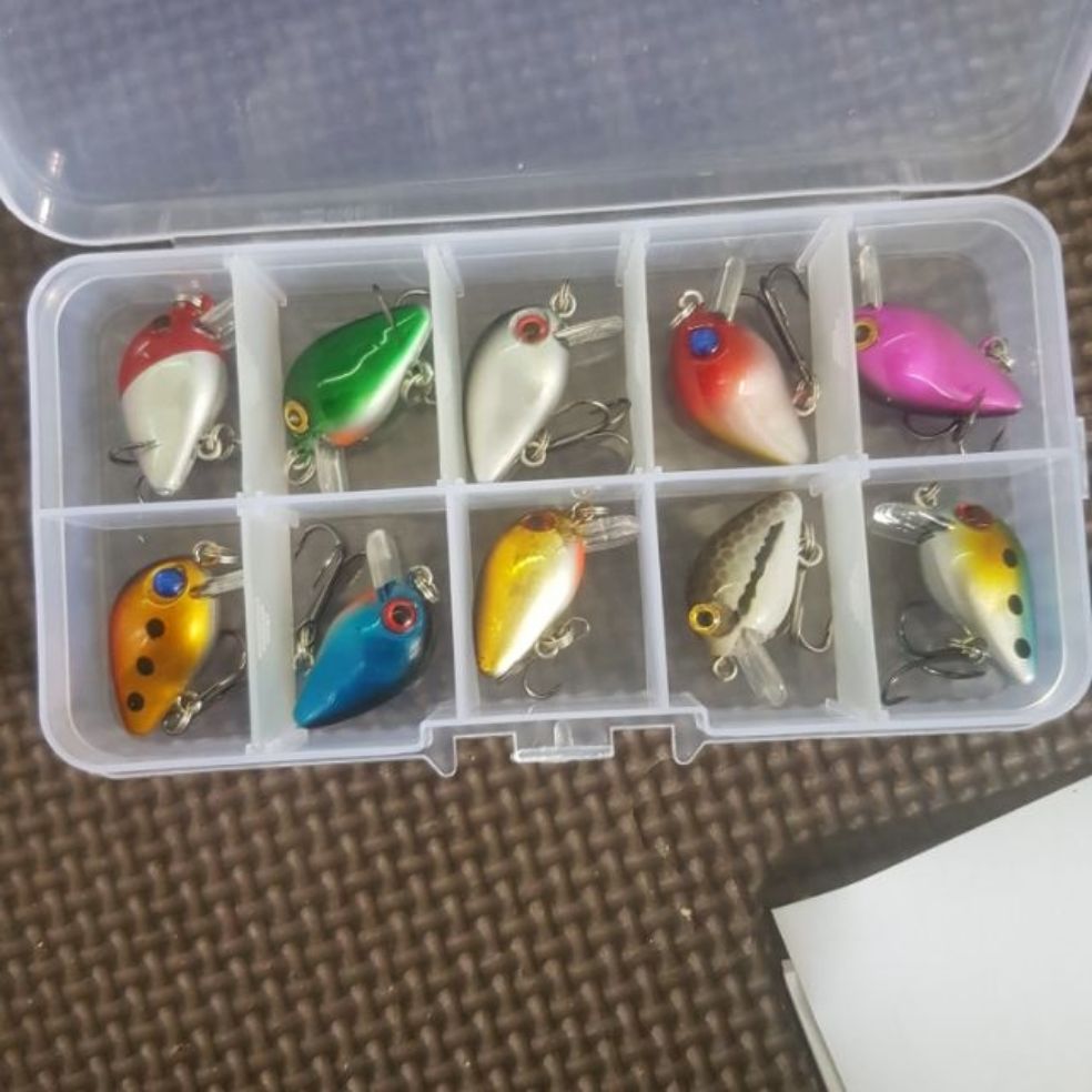 Mồi giả câu lure, hộp 10 mồi ruồi