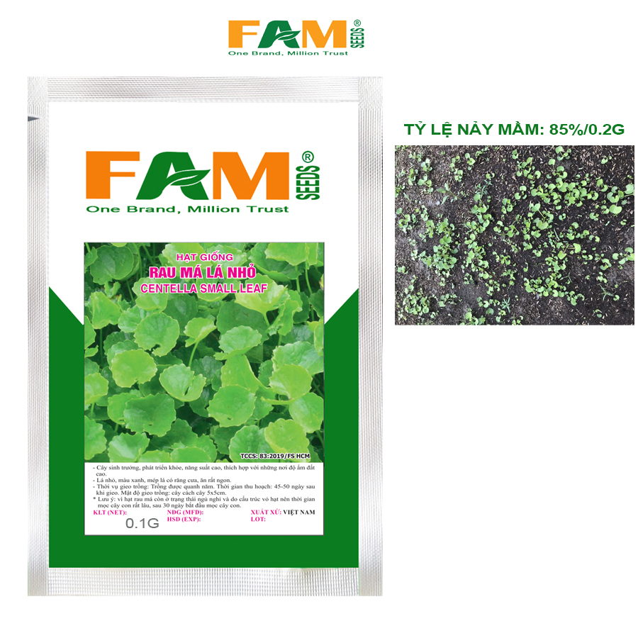 Gói 0.1gr Hạt Giống Rau Má Lá Nhỏ FAMSEEDS - Giống nảy mầm và phát triển ổn định, Năng suất cao, Kháng sâu bệnh tốt, Dễ trồng Dễ chăm