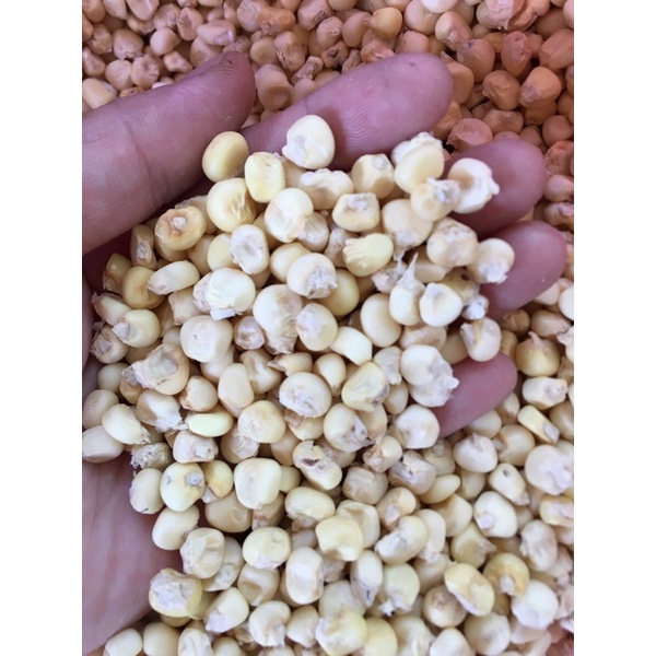 Bắp nguyên hạt sấy khô gói 1kg