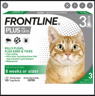 Thuốc nhỏ gáy trị Ve- Rận- Bọ chét cho Mèo MERIAL Frontline Plus  Pháp. thumbnail