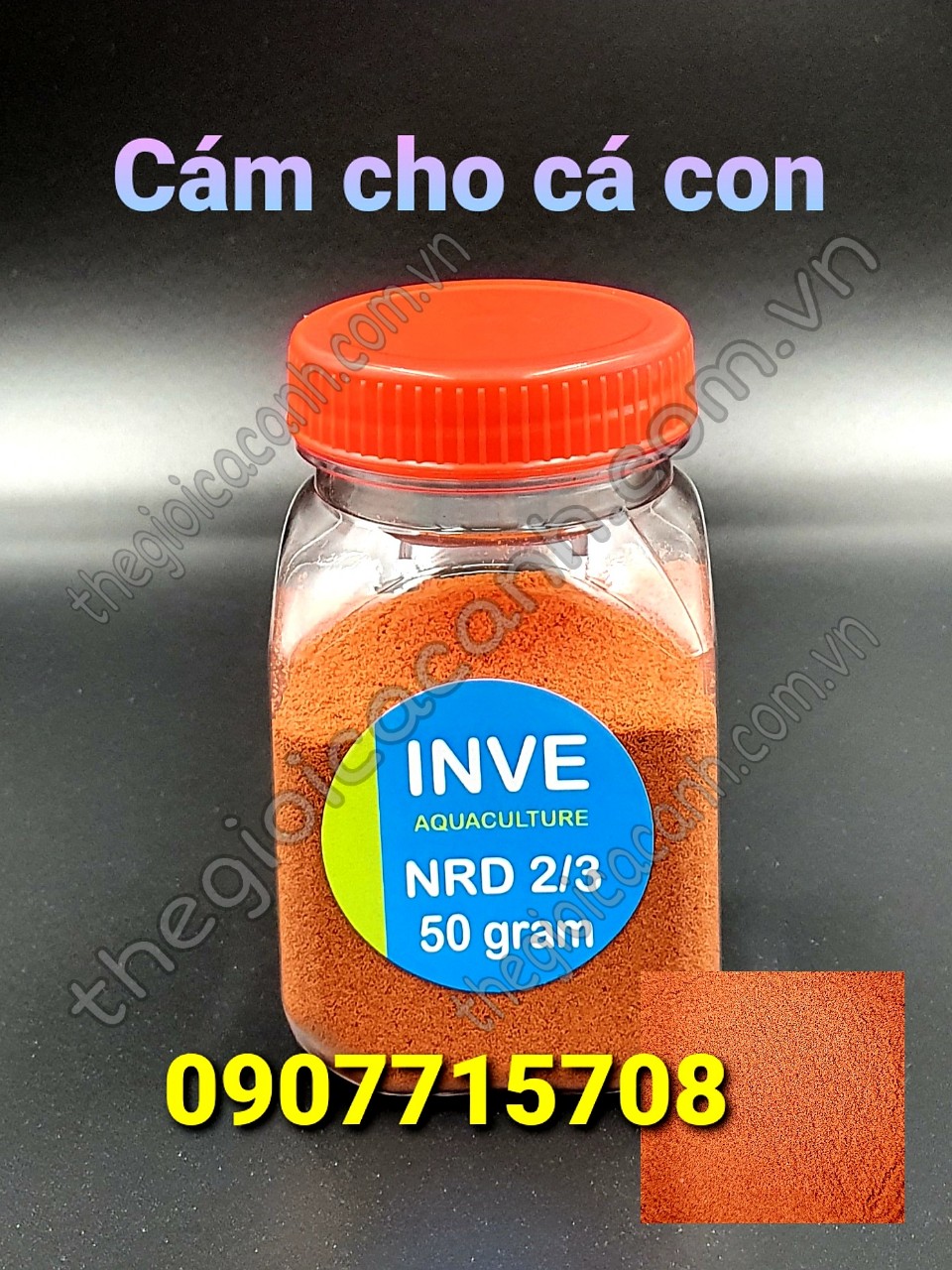 Cám Thái Inve 2/3 hủ 50gram cho cá cảnh
