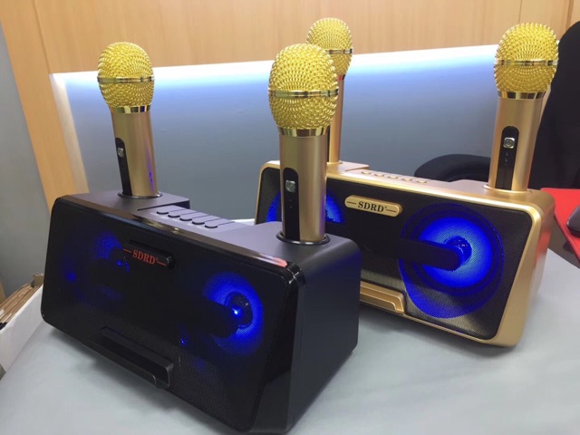 LOA KARAOKE SDRD SD-301 KÈM 2 MIC KHÔNG DÂY