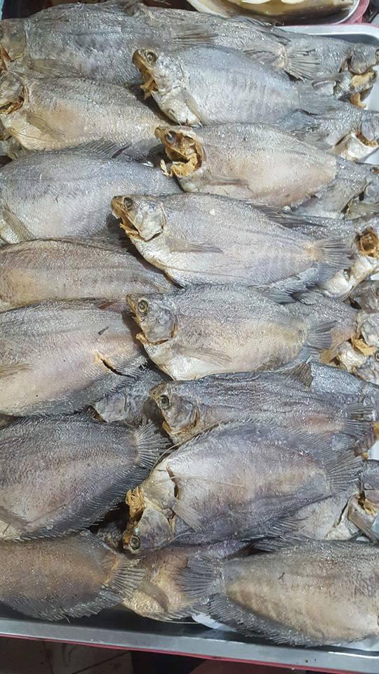 KHÔ CÁ SẶC