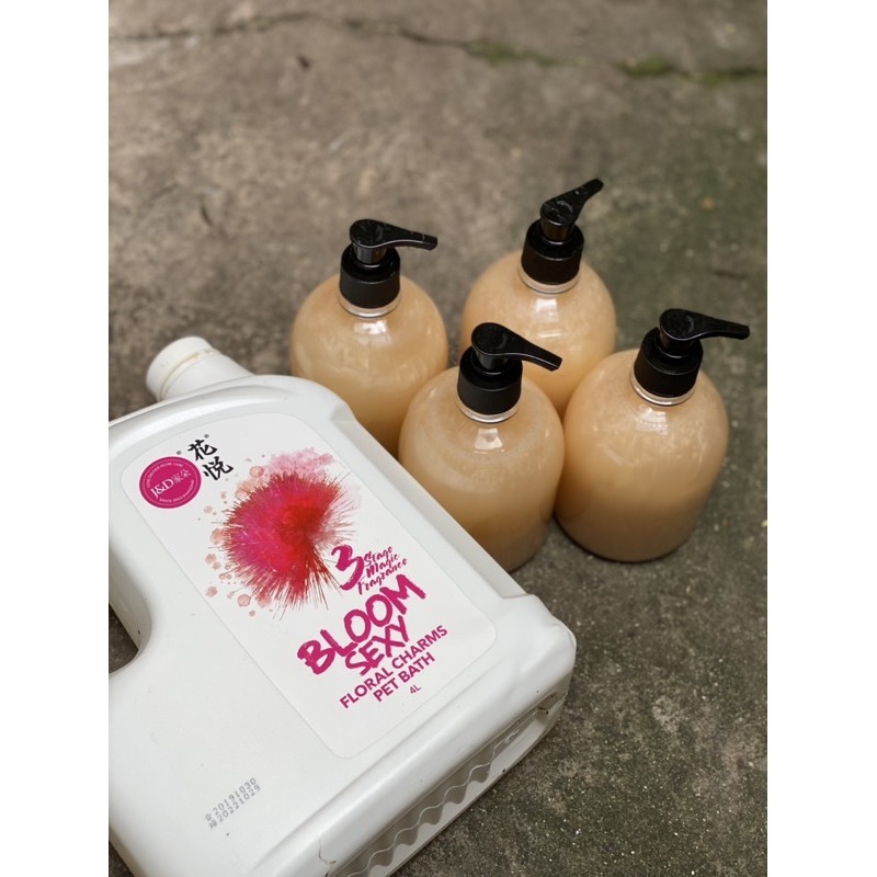 Sữa tắm Bloom sexy chai chiết 500ml siêu thơm-