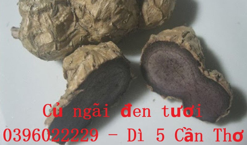 500 gam củ ngãi đen tươi
