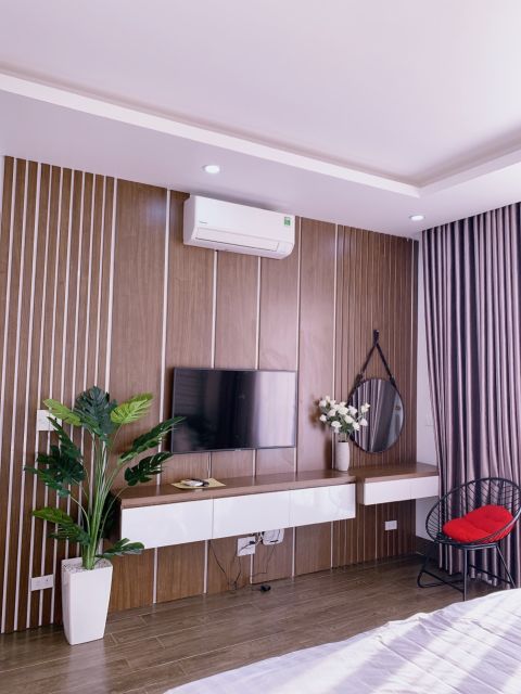 Cây lá rùa phong thủy trang trí nhà cửa