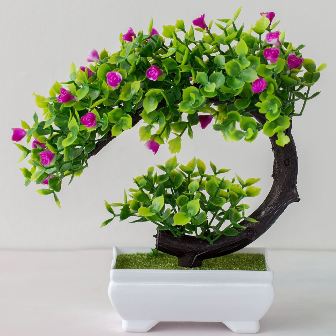 [HCM]Chậu Cây Bonsai Phú Quý - Vạn Sự Như Ý