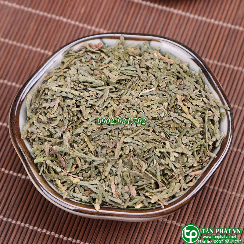Trắc bá diệp sấy khô 100g - tấn phát