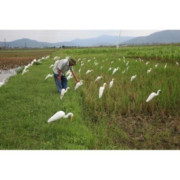 Keo bẫy chuyên chim  cò ,vạc 500g