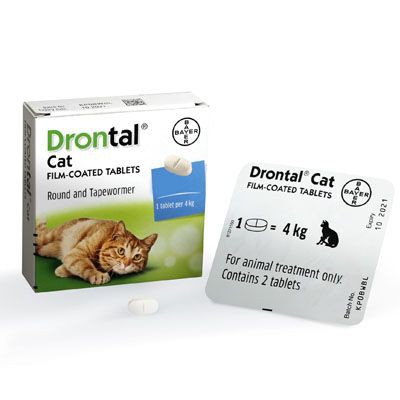 1 Viên Drontal Cat cho mèo