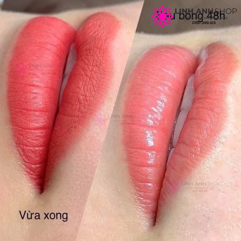 Mực Biotic Mới Bong Đậm Phun Xăm