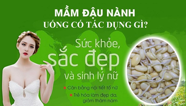 1kg Bột mầm đậu nành nguyên xơ