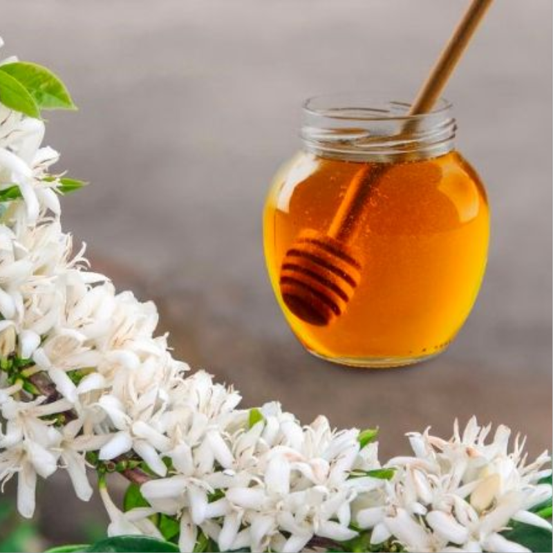 330ml (470g) mật ong ngon dakbee, tăng cường sức khỏe, nâng cao hệ miễn dịch [DAKBEE_330ML]