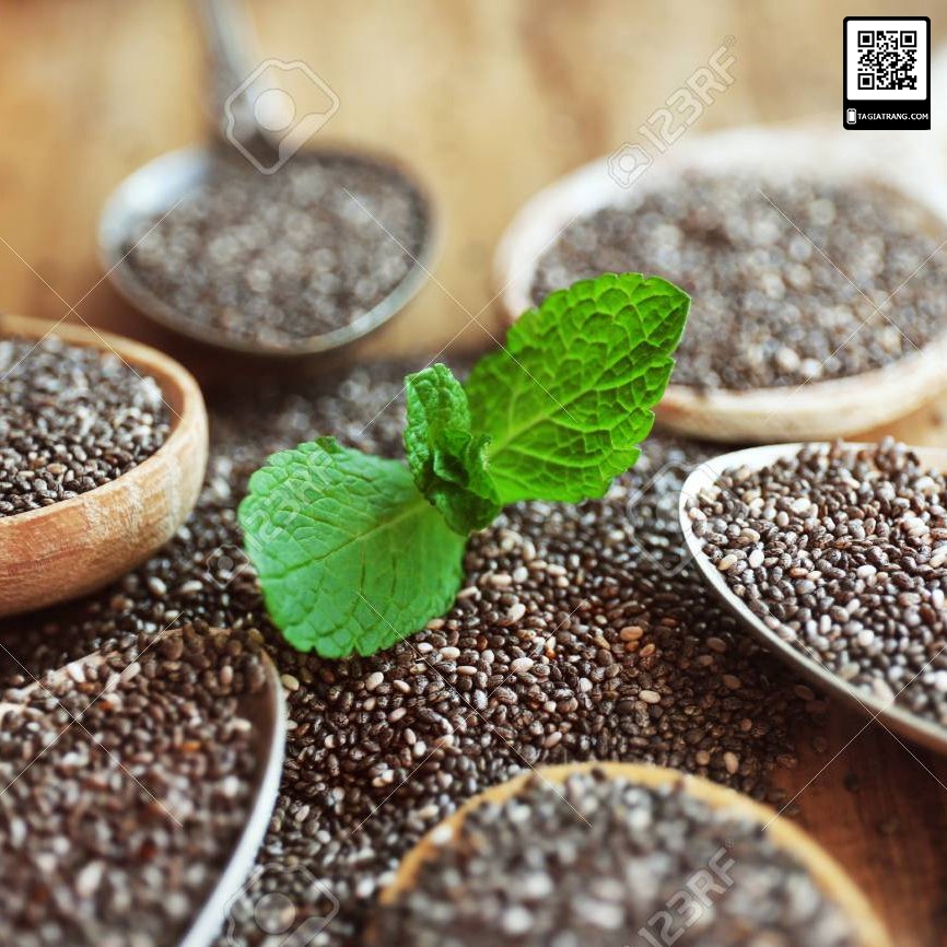 Hạt giống Bạc hà Âu (rau bạc hà Peppermint)