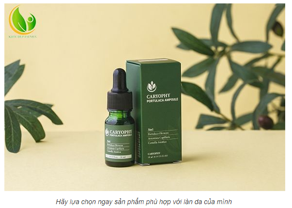 Serum Ngừa Mụn Thâm Dành Cho Da Nhờn Caryophy [KÈM VIDEO]