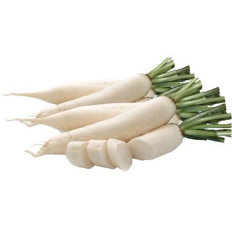 [HCM]Gói 20GR hạt giống Củ Cải Hà Nội Cao Sản (Giống cải muối dưa)