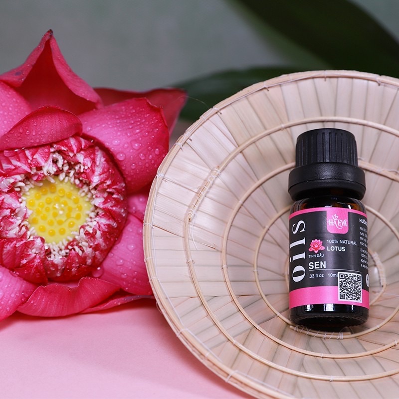 [HCM]Tinh dầu Hoa Sen Haeva 10ml