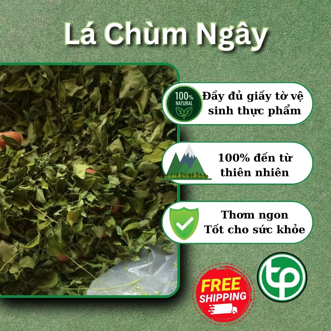 Lá chùm ngây khô 200g - Thảo Dược Tấn Phát