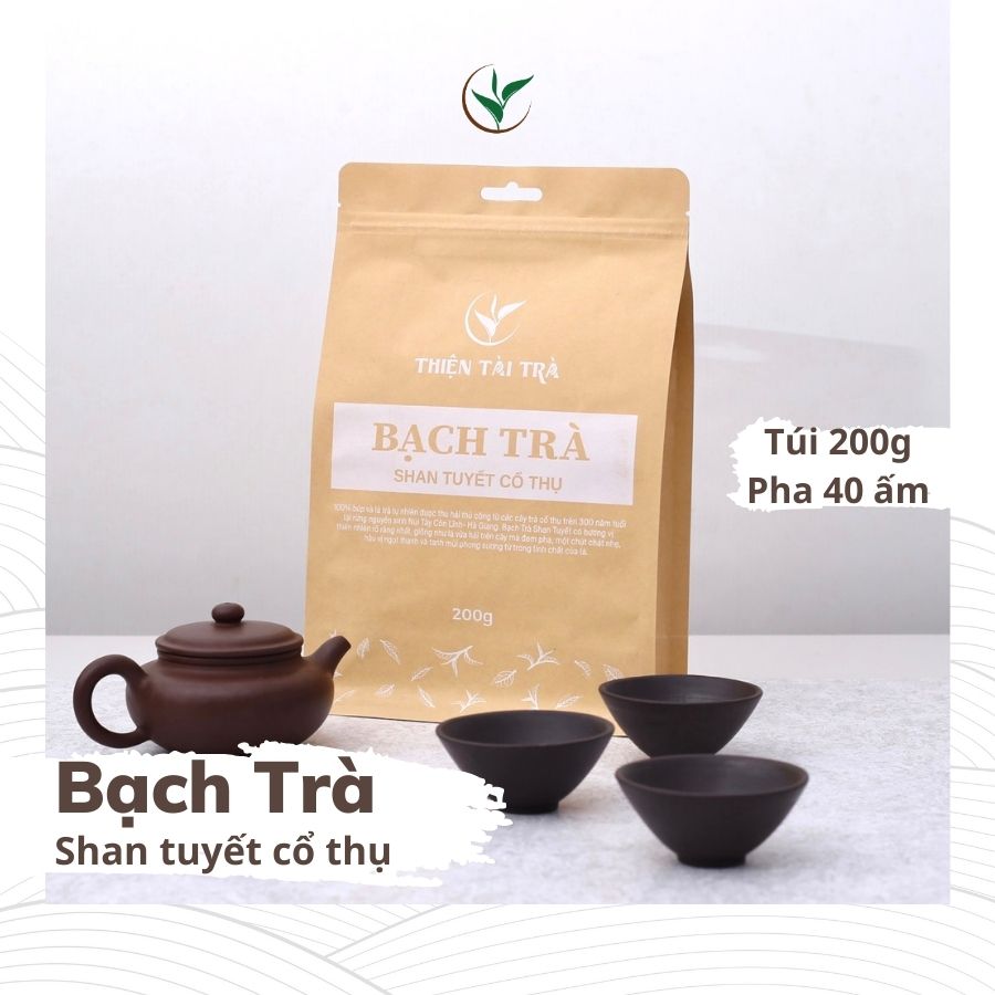 Bạch trà shan tuyết cổ thụ thiện tài búp trà cổ thụ hà giang vụ xuân hảo hạng