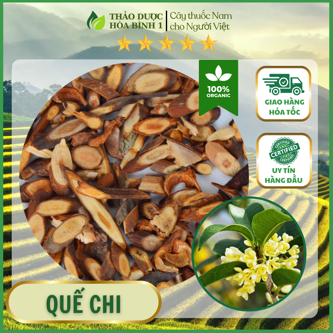 1kg Quế chi khô hàng chuẩn lᴏại 1