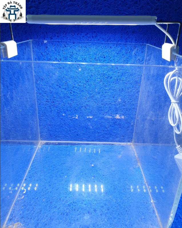 [Hoàn Tiền 10%] Đèn Led 3 Chế Độ Màu Lebaoyu Bể Cá, Bể Thủy Sinh 20cm