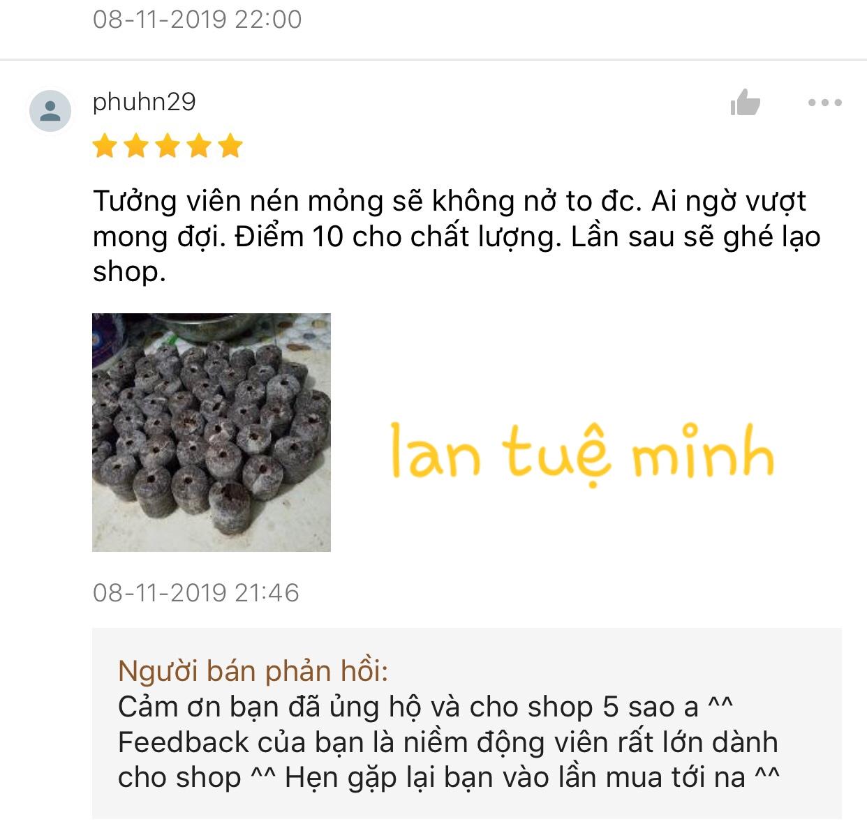 Combo 10 Viên Nén Xơ Dừa [HOT]
