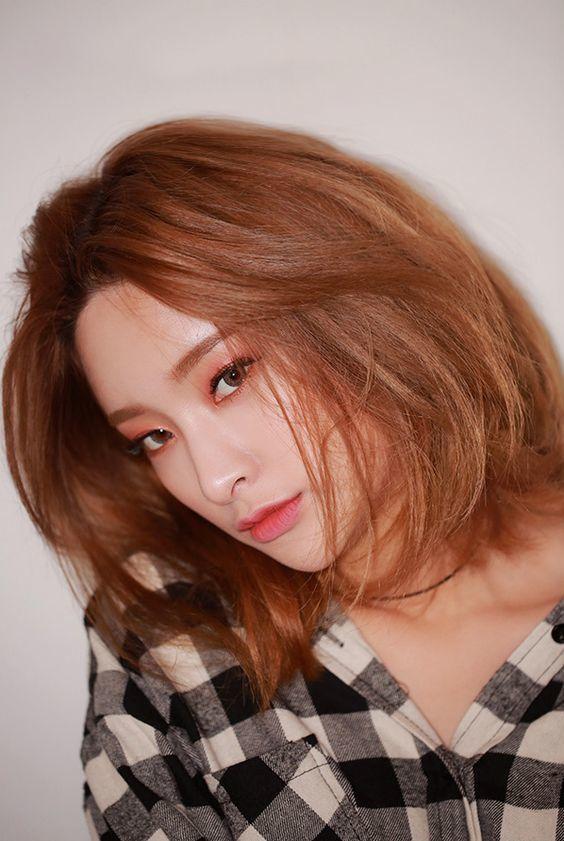 Brown Hair Dye Dye + Oxygen + Premium