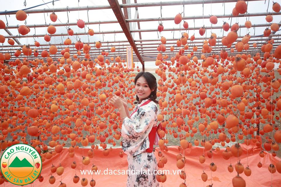 Hồng treo gió thượng hạng DaLaVi