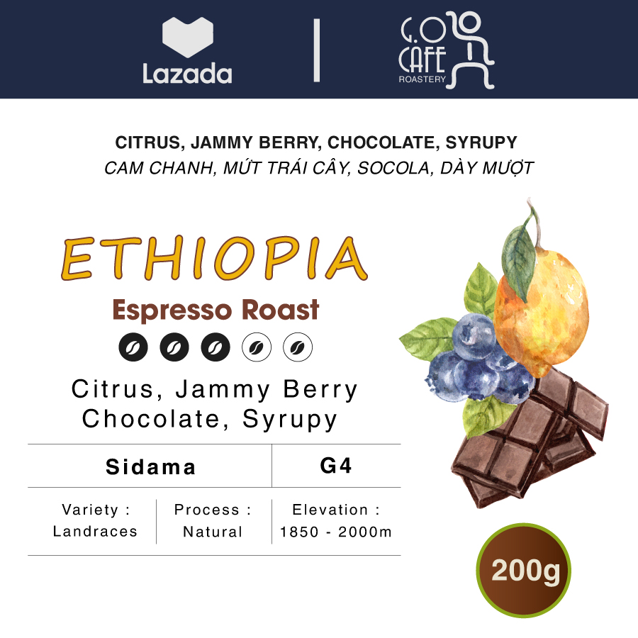 Espresso Coffee, Cà phê rang Ethiopia Sidama G4 Natural - G.O Cafe Roastery
