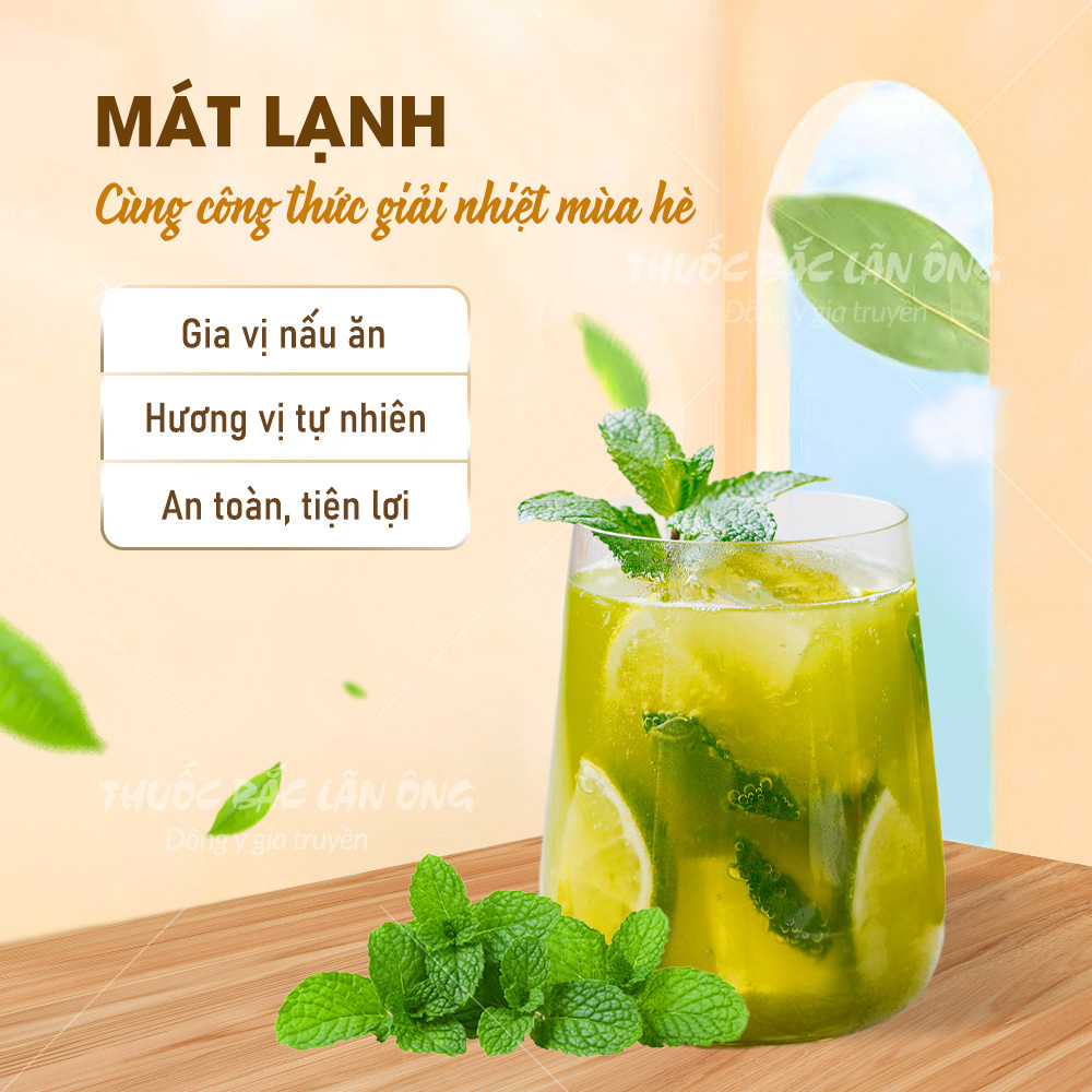 Bột bạc hà sấy lạnh nguyên chất 100g (Tạo hương vị thơm ngon và màu sắc đẹp mắt cho các món ăn và đồ uống)