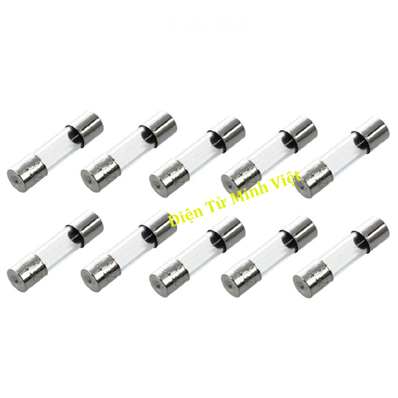 Bộ 10 Cầu Chì Ống 6x30mm 250V