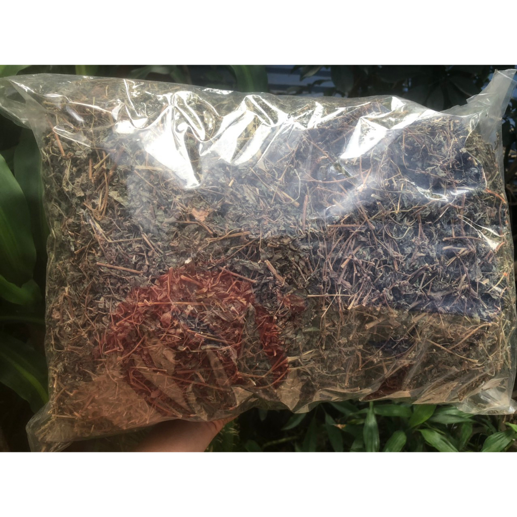 cây bọ mắm khô (thuốc dòi) thân tím 1kg