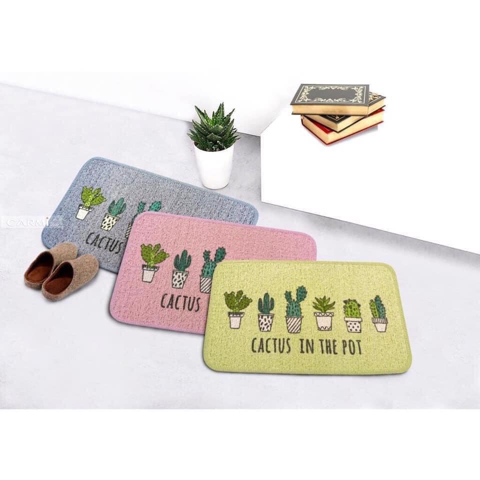 [GIẢM SỐC 50 %] Thảm Lau Chân Cao Cấp Carmi