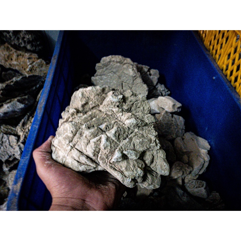 Đá Da Voi (1KG) | Trang trí Thủy Sinh Biotope Iwagumi....|