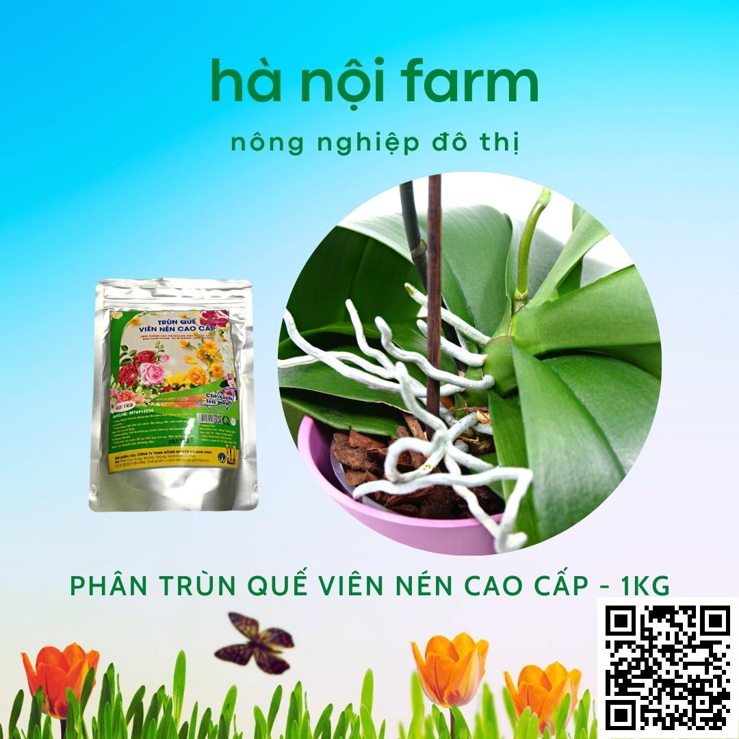 phân trùn quế viên nén cao cấp - gói 1kg