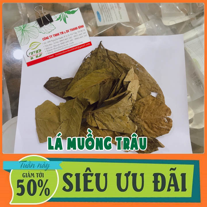 Lá muồng trâu khô 100g loại 1 - thảo dược thanh bình
