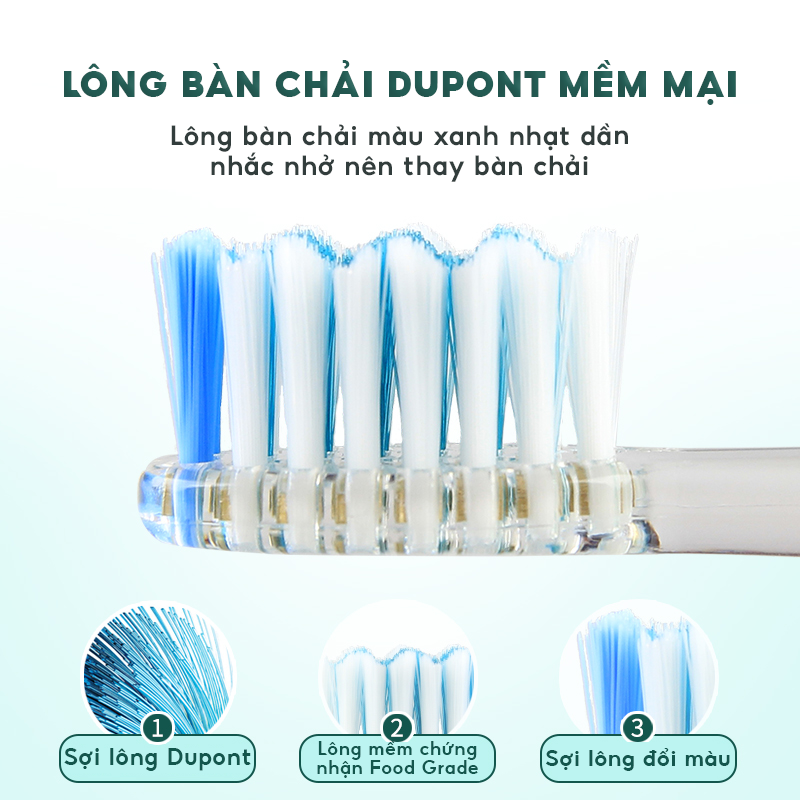 Bàn chải điện trẻ em Seago SG-977