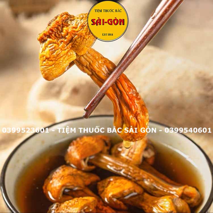 Nấm Tùng Nhung 100gram HÀNG TỰ NHIÊN (Nấm quý nấu canh dưỡng sinh, lẩu nấm, phục hồi sức khỏe)