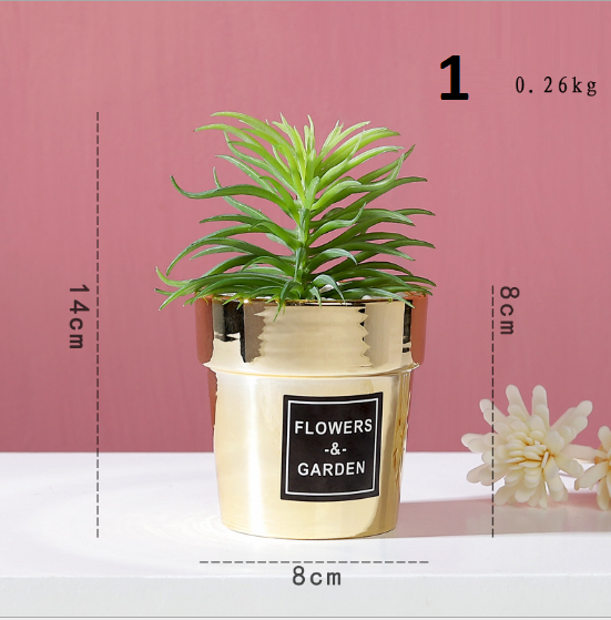 Cây trang trí để bàn phong cách Bắc Âu