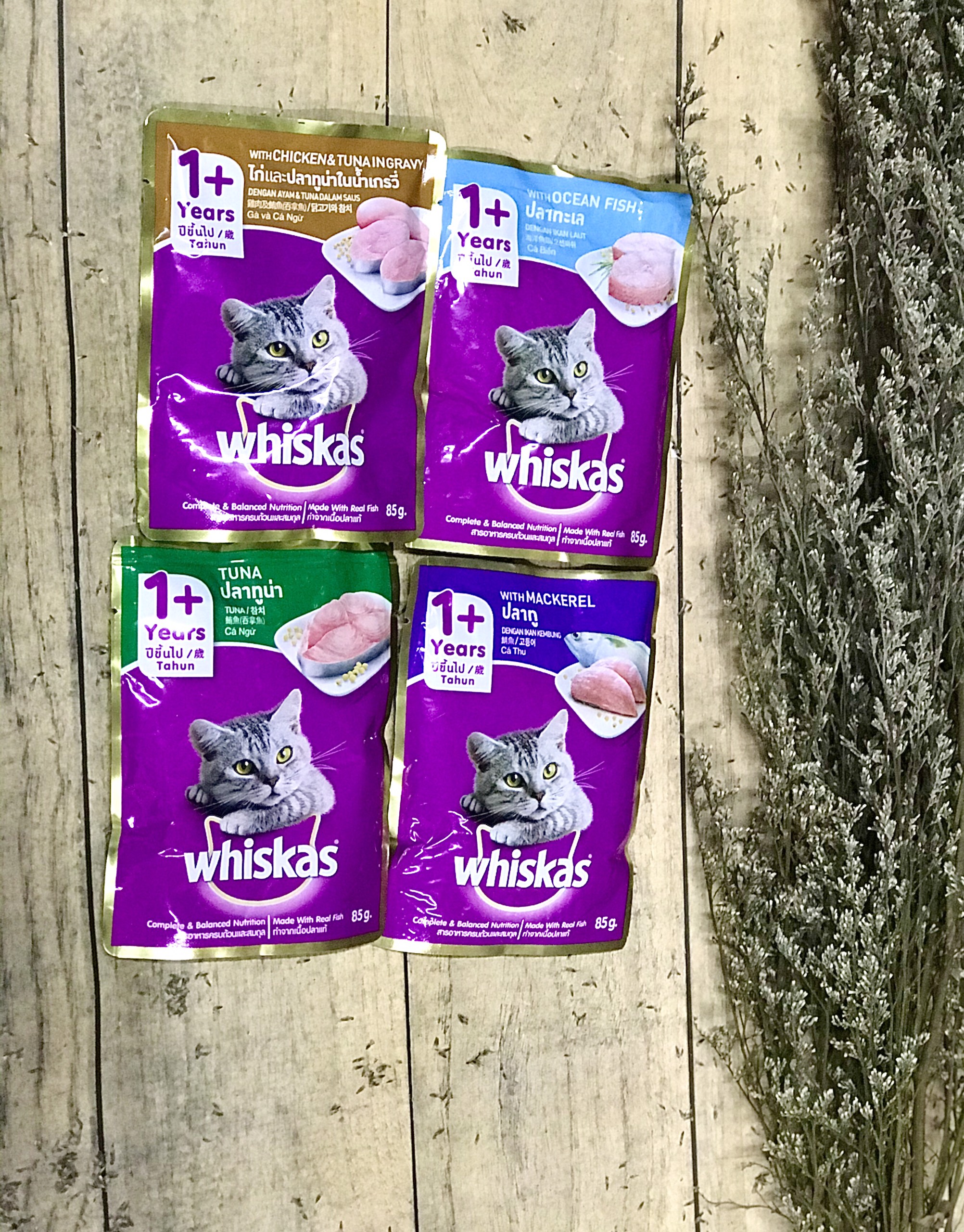 PATE WHISKAS thức ăn ướt cho mèo