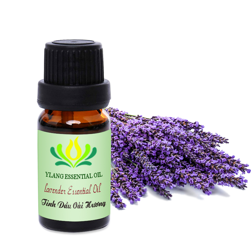 Tinh dầu Oải Hương (Lavender) - 10ml, 50ml, 100ml